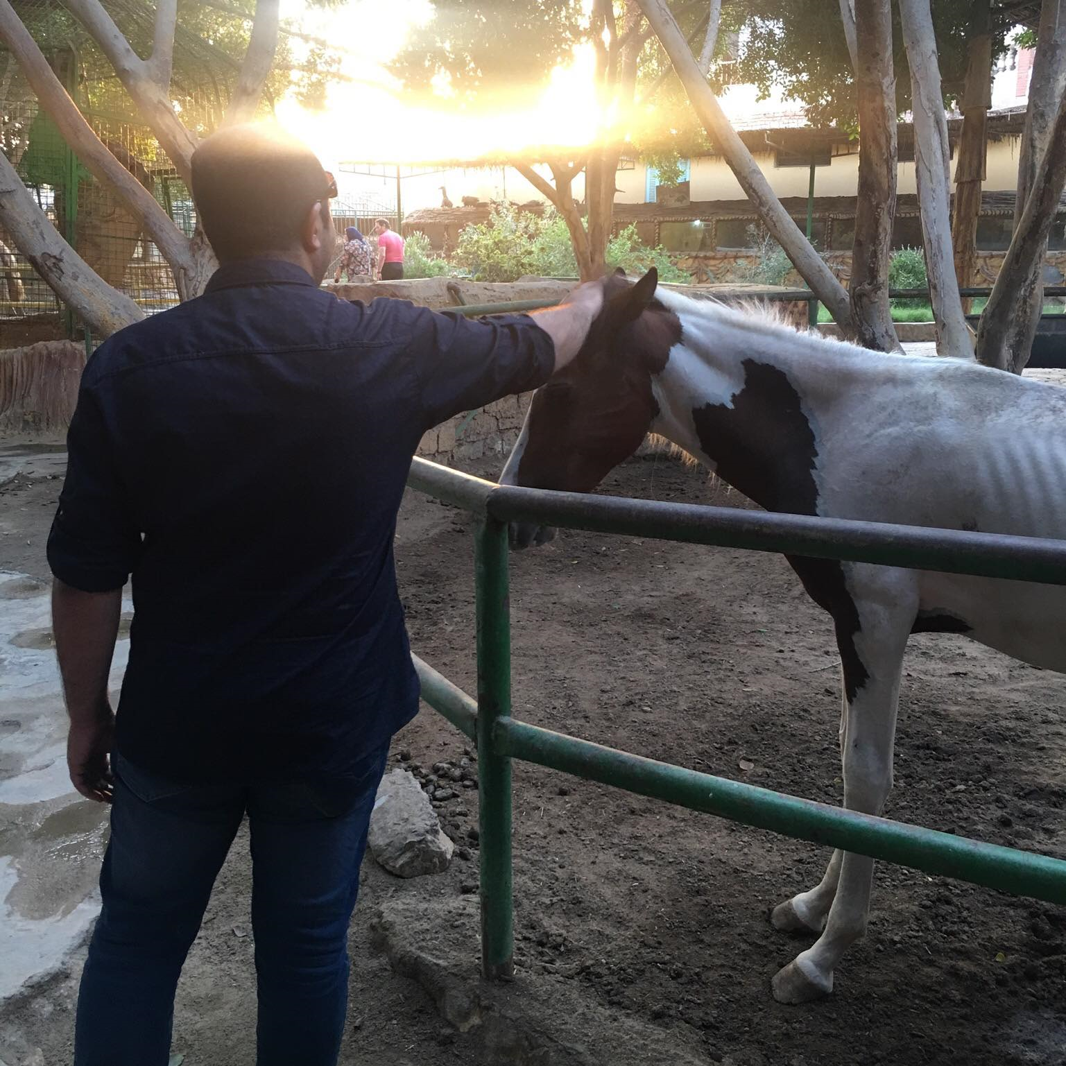 Hossam Tameem